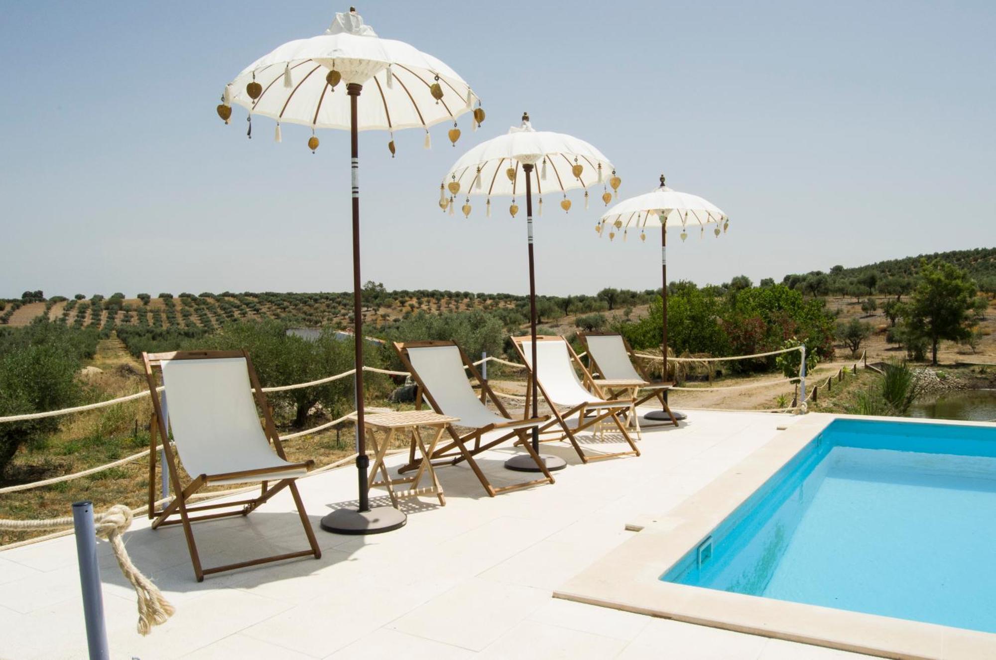 Monte Da Estrela - Country House & Spa Moura Dış mekan fotoğraf