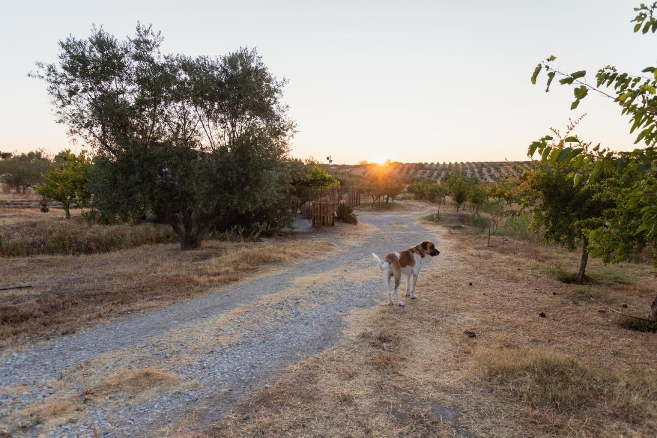 Monte Da Estrela - Country House & Spa Moura Dış mekan fotoğraf