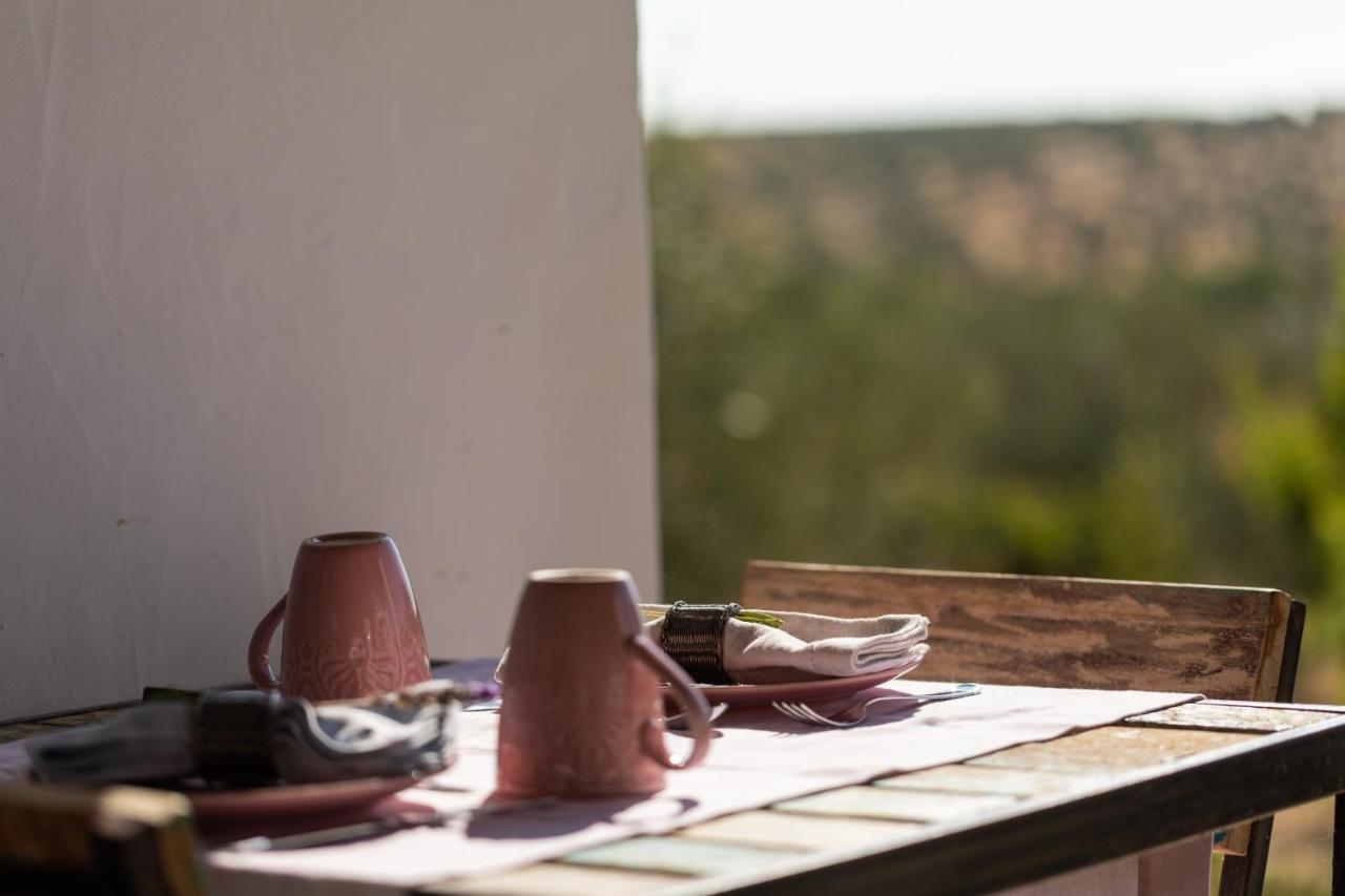 Monte Da Estrela - Country House & Spa Moura Dış mekan fotoğraf