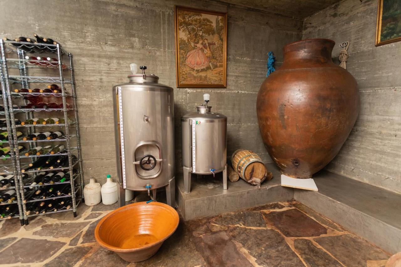 Monte Da Estrela - Country House & Spa Moura Dış mekan fotoğraf